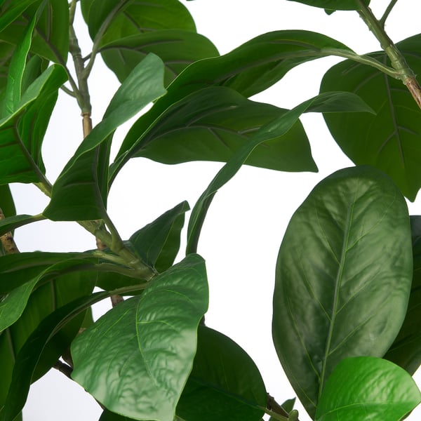 FEJKA Artificial potted plant, in/outdoor fiddle-leaf fig, 19 cm