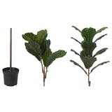 FEJKA Artificial potted plant, in/outdoor fiddle-leaf fig, 19 cm