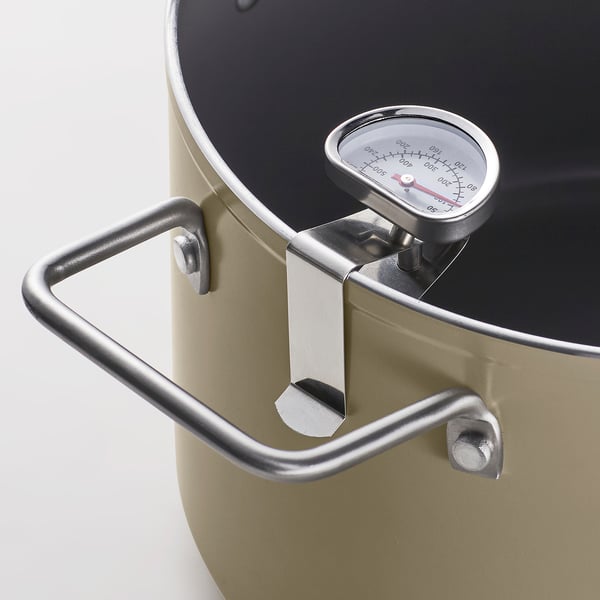 SKÄGGTORSK Frying pot, non-stick coating light beige-green, 4 l