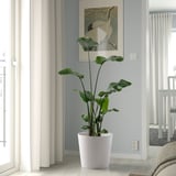 SOJABÖNA Plant pot, white, 32 cm