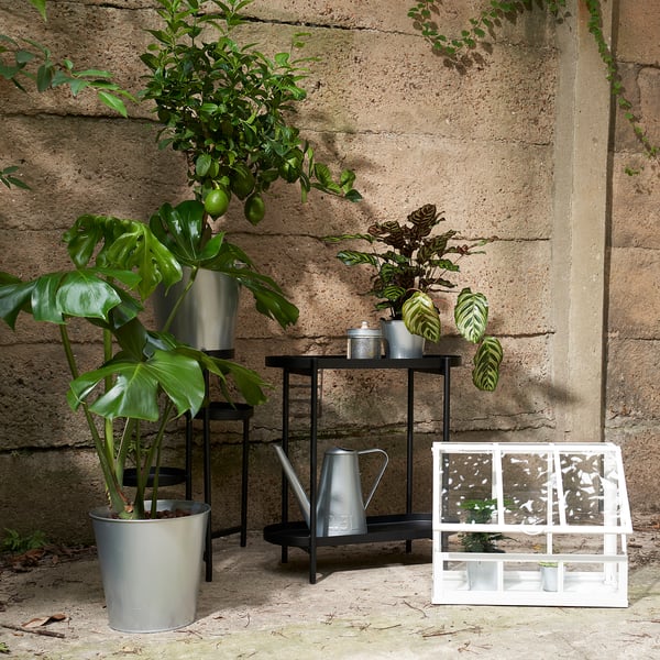 Asthetic garden scene with ÅKERBÄR steel watering can, small potted plants, and a white crate on aged stone background.