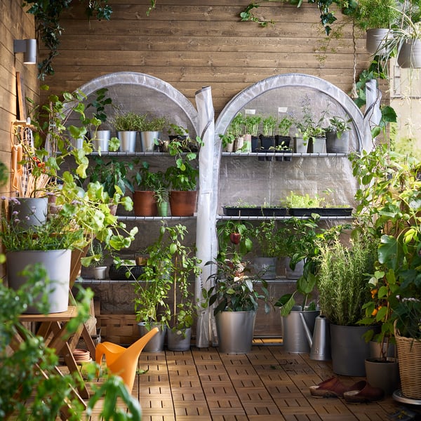 Small outdoor greenhouse with various plants, modern design, white cover.