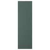 ASPUDDEN Door, dark grey-green, 60x200 cm