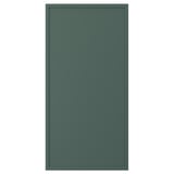 ASPUDDEN Door, dark grey-green, 40x80 cm