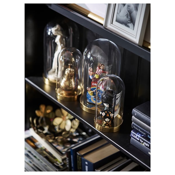 Black glass dome decor with small ornaments sits on shelf beside books.