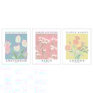 Three posters: amsterdam, paris, london with floral illustrations.