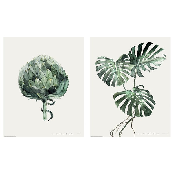 Image shows two distinct green plant illustrations, one with detailed artichoke, another with tropical leaves, on white background.