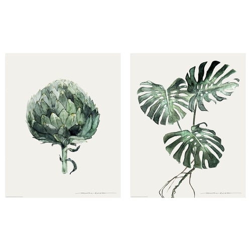 Image shows two distinct green plant illustrations, one with detailed artichoke, another with tropical leaves, on white background.