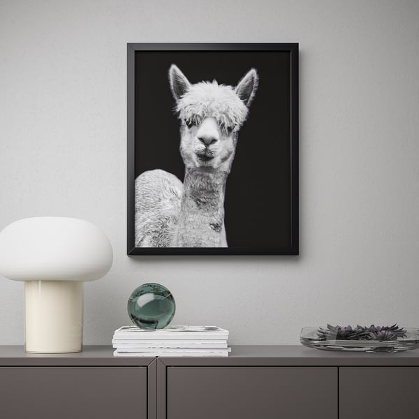Framed alpaca portrait hangs above shelf with lamp and decor.