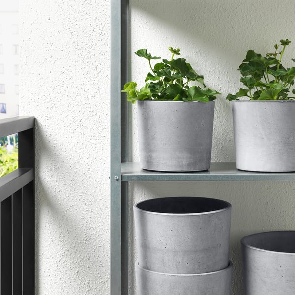 Three modern concrete plant pots hold green leafy plants on two shelves near a window, allowing natural light to nurture the plants.