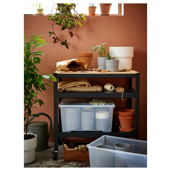 Indoor garden with BROR trolley, pots, soil, can, and tools against rustic wall.