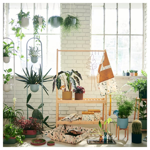 Indoor plant station with various potted plants, hanging pots, and bamboo shelves in natural colour, near bright windows.