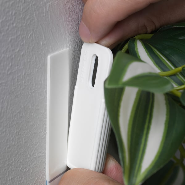 Mounting striped plant on grey wall