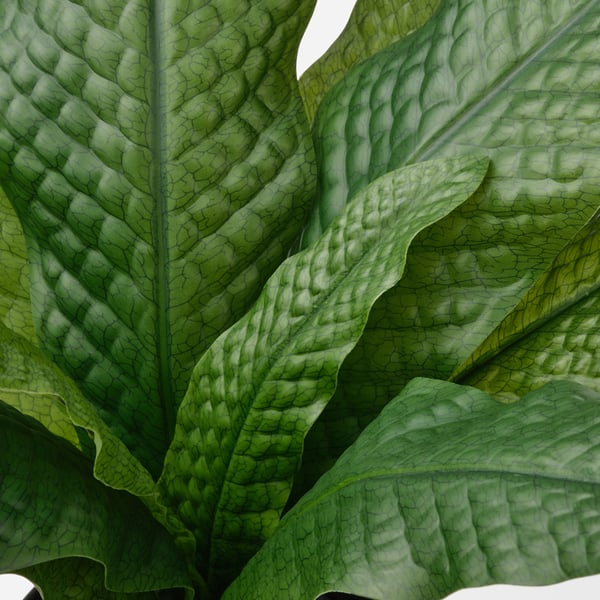 Close-up of realistic, textured green leaves, likely from an artificial plant, showcasing detailed veining and vibrant colour.
