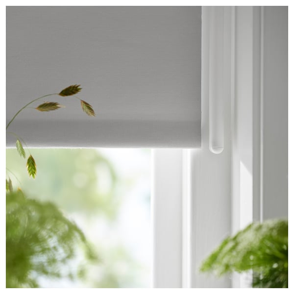 White roller blind, partially rolled up, with green plants beside it.