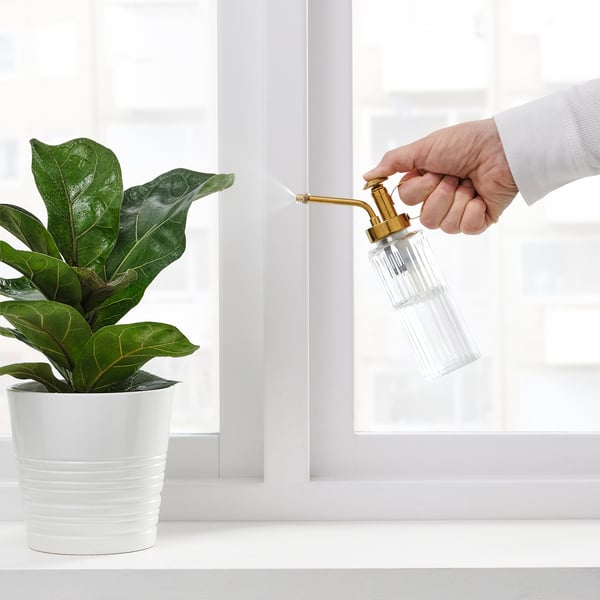 Person mists plant using GRADVIS sprayer, providing moisture to its broad green leaves.