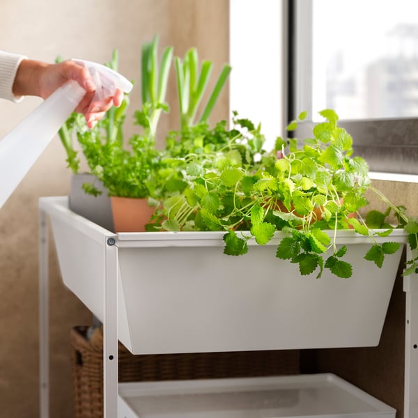 White JOSTEIN shelf holds plants in pots, indoors, with a person spraying leaves.