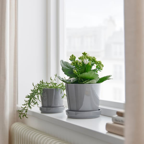 Two grey pots on a window sill, one with long green leaves, the other white flowers.