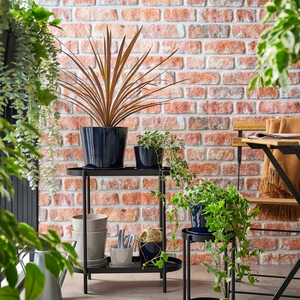 Plant pots with greenery against brick wall.