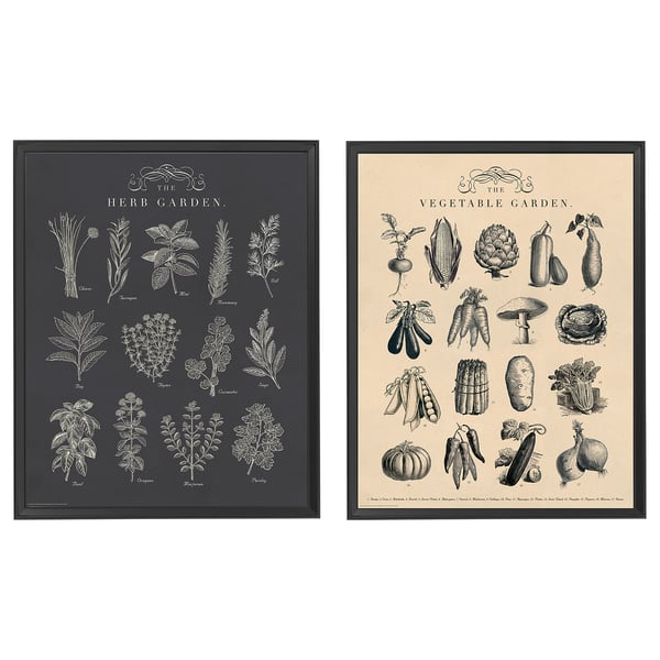 Two framed art prints, black and beige. Left shows herbs, right shows vegetables, both in classic line art style.