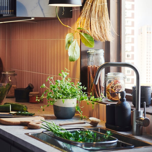 Kitchen sink with herbs and jars. Fresh greens on counter, KORKEN jars used for storage and serving.