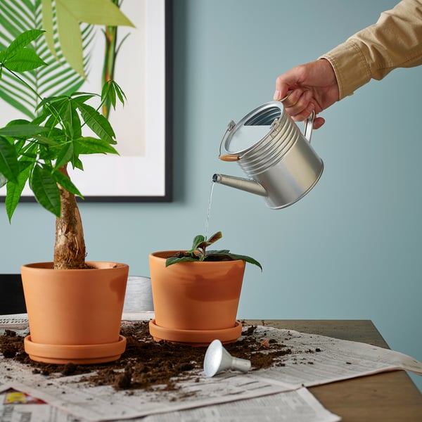 KORKGRAN Watering can, in/outdoor/galvanised, 1 l