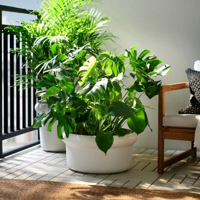 MÅBÄRSBUSKE Plant pot, outdoor/off-white, 44 cm