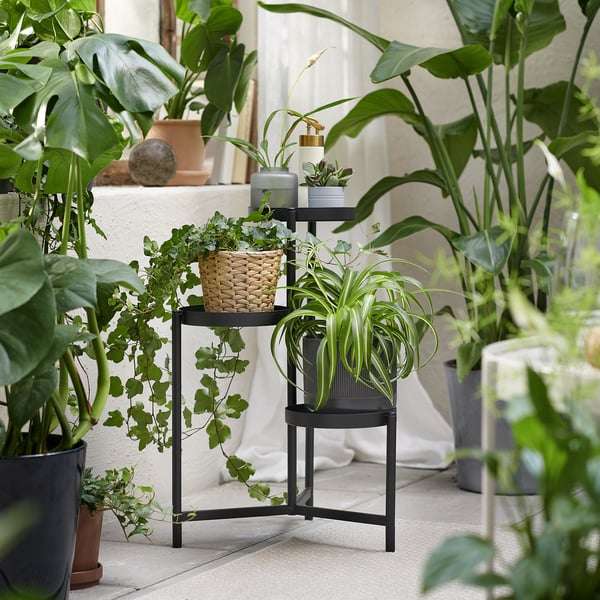 Black 3-tier plant stand with green houseplants