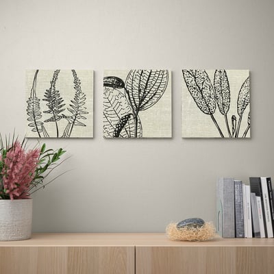 Three plant prints above shelf with books and plant.