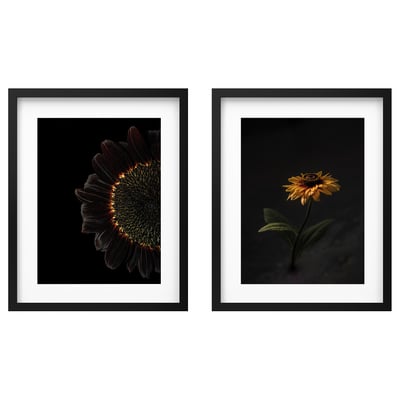 Two black-framed photos of sunflowers, one close-up, one full flower.