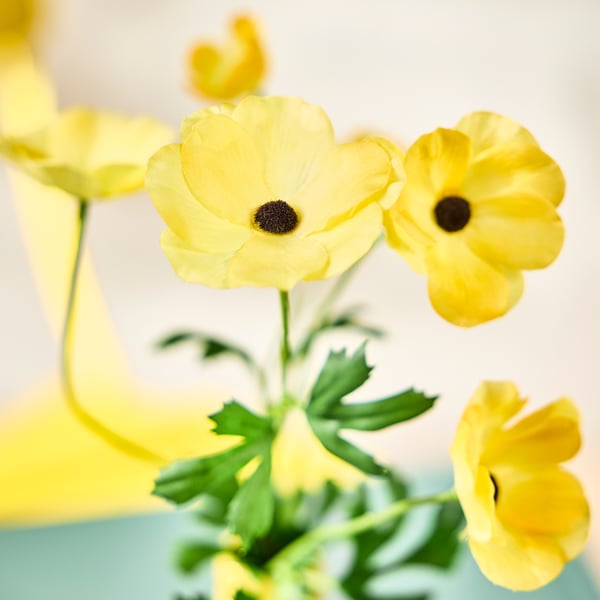 SMYCKA Artificial flower, in/outdoor Ranunculus/yellow, 63 cm