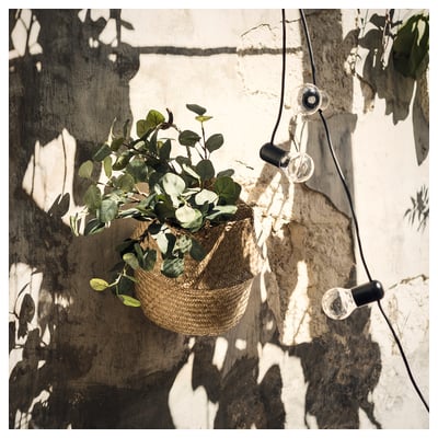 Hanging brown basket with green plants, wall lights.