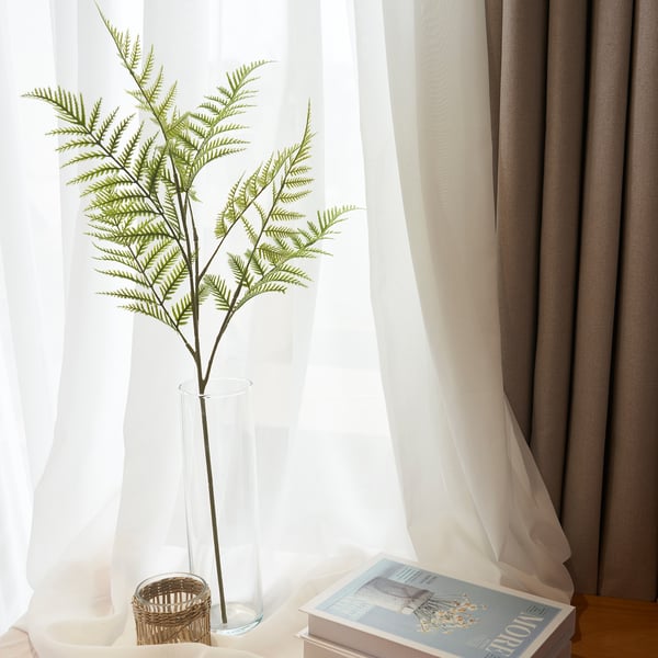 A clear vase holds a lush fern by a window, surrounded by sheer white curtains and a magazine, bringing indoor greenery.
