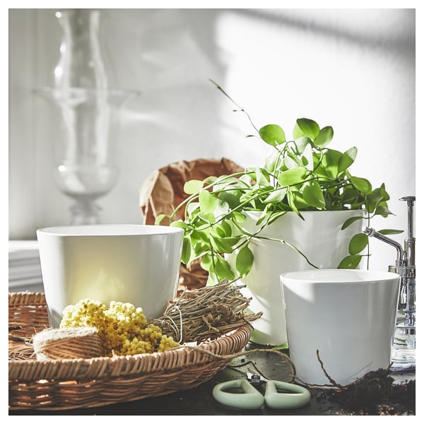 Image white SOJABÖNA plant pots with green leaves, a woven basket of yellow flowers, and a glass spray bottle on a windowsill.