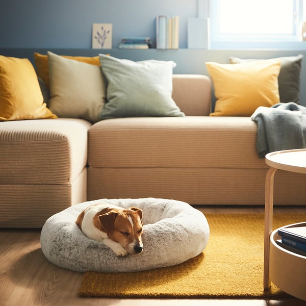 Dog bed in living room, cosy with high edge, next to large beige sectional with colourful pillows.