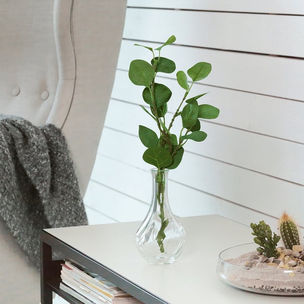 Clear glass vase with green leaves sits on a white table beside a grey sweater and a succulent plant.
