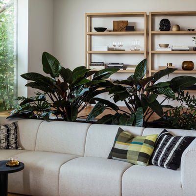 Balta sofa, dryžuotos pagalvės, augalai, knygų lentynos, medinės grindys, stiklinės durys į žalumą.