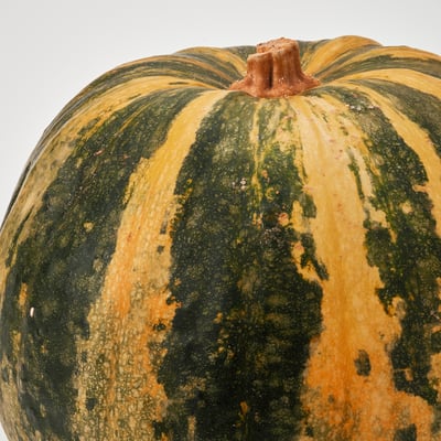 CUCURBITA Декоративная тыква, 20 см