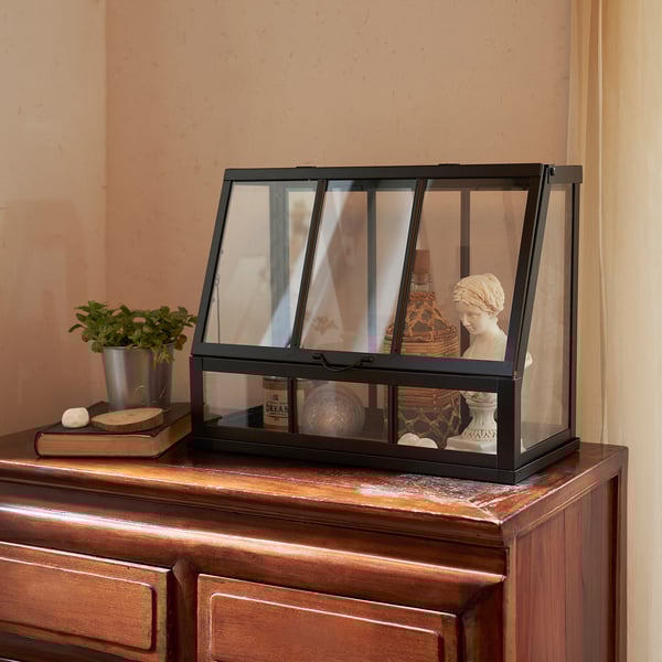 Display case on wood cabinet, showcasing bust, plant, & items.