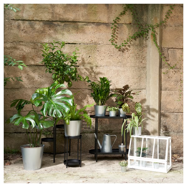 Potted plants with ÅKERBÄR greenhouse against stone wall.
