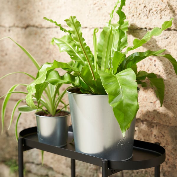 Metal plant pots with green plants on black stand against brick wall.