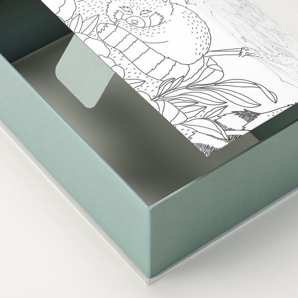 Green cardboard box with cutout handle, featuring black line drawing of a koala on the lid.