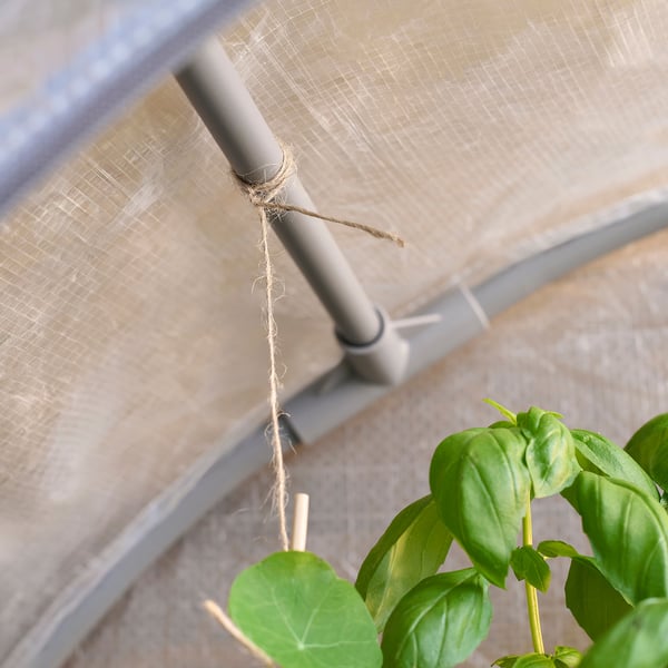 Greenhouse with jute-tied shelves, fresh basil plant, grey metal frame.