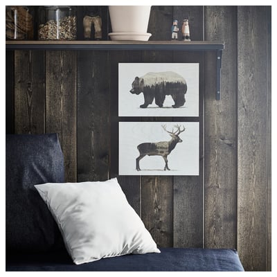 BJÖRNAMO Picture, set of 2, Wild animals II, 30x20 cm