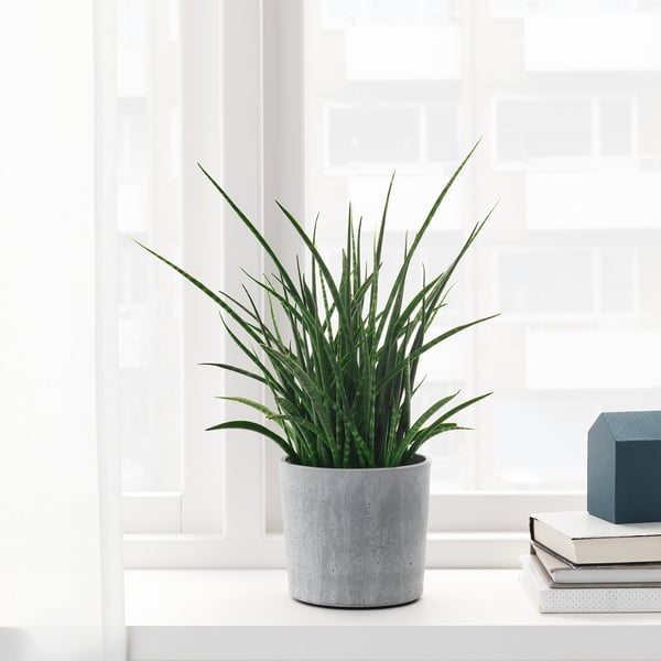 Potted plant in grey concrete planter on windowsill, durable for indoor/outdoor use, soft bottom.