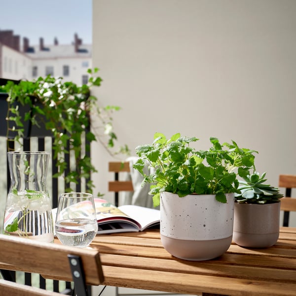 Grey buskaprifol pots with plants on wooden table, ideal for reading and relaxing.