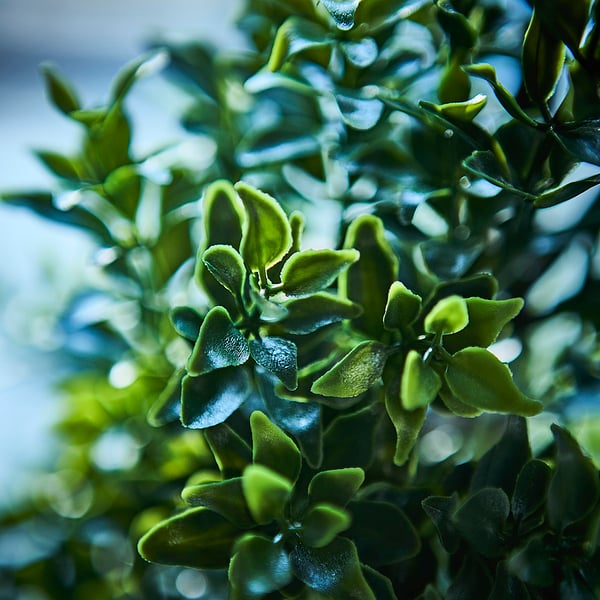 FEJKA Artificial potted plant, in/outdoor/Box green, 15 cm