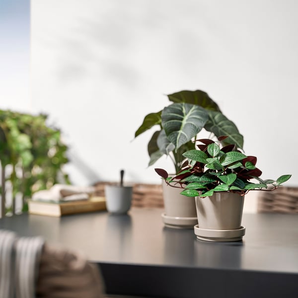 Modern table decor with small FEJKA potted plants. White pots, green leaves, near a cup and books. Compact and elegant.
