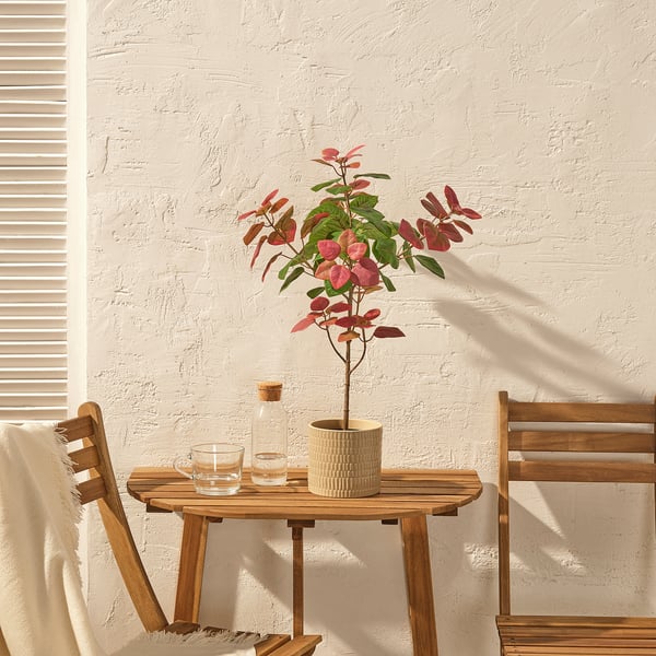 Indoor/outdoor table with wooden chairs, FEJKA plant, glasses, and bottle for easy decor.