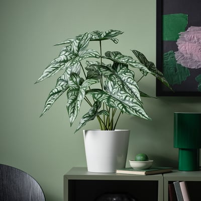 FEJKA white potted plant in a small cabinet next to a green lamp and bowl, against a green wall.